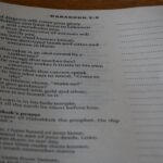 親子で英語のアニメを見ながら勉強している様子