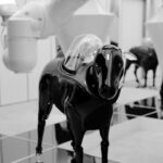 Doraverseは副業の時短にどれだけ使えるか、機能を比較して検証した話