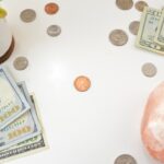 白い机に並べたドル紙幣と硬貨、観葉植物