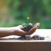 硬貨の上で小さな芽を手のひらにのせている様子