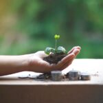 硬貨の上で小さな芽を手のひらにのせている様子