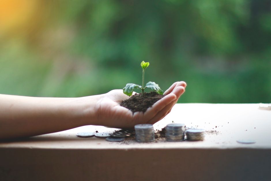 硬貨の上で小さな芽を手のひらにのせている様子